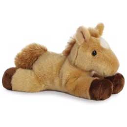 NEWSLETTER JUILLET 2025