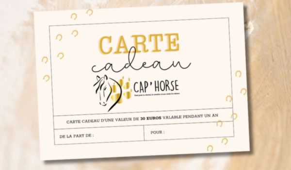 LE CADEAU PARFAIT POUR LES PASSIONNÉS D’ÉQUITATION