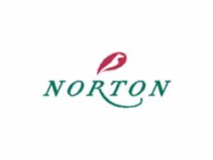 Logo Norton